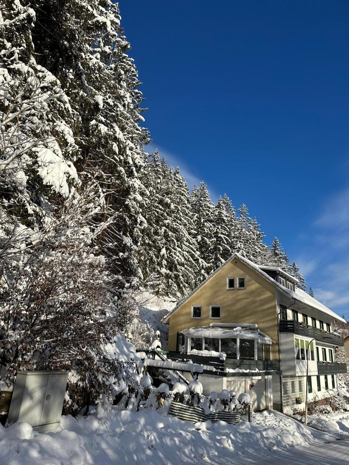 Haus Georgenhoehe Вильдеманн Экстерьер фото